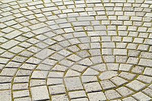 Symmetrical pattern of sidewalk tile with green moss .Grey pavement stone texture