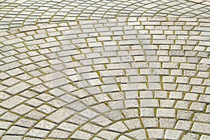 Symmetrical pattern of sidewalk tile with green moss .Grey pavement stone texture