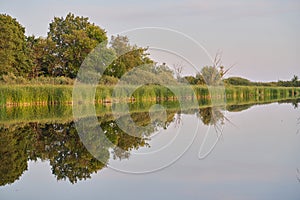 Symmetrical reflection trees, grass, sky in pond