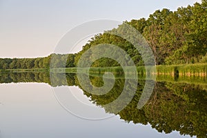 Symmetrical reflection trees, grass, sky in pond