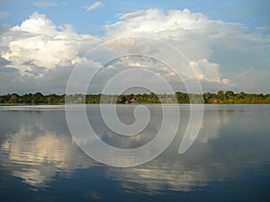 Symmetry forest skyline on the Amazon river