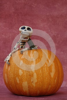 SYMPATHETIC SKELETON GRABBED A HALLOWEEN PUMPKIN