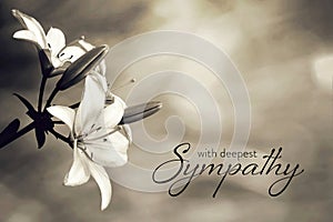 Sympathy card with lily flowers