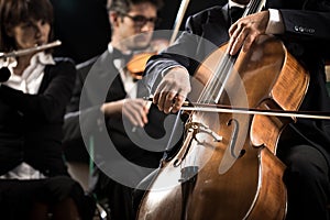 Symphony orchestra: cello player close-up