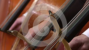 Symphony orchestra cello plays . Close up.