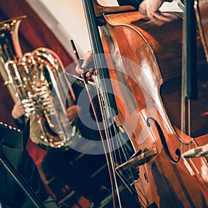 Symphony orchestra on stage, hands playing acoustic double bass