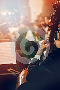 Symphony orchestra on stage, hands playing contrabass