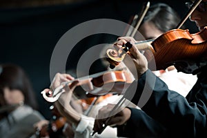 Symphony orchestra violinists performing