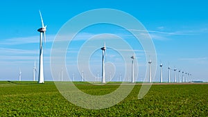 A symphony of wind turbines standing tall in a lush green field in the Netherlands, Flevoland