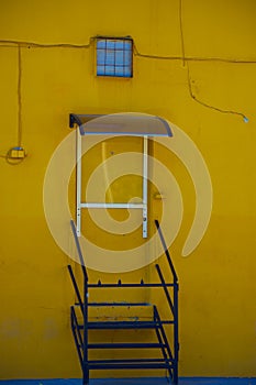 Symphony in yellow in Paradas Ã¢â¬â Seville photo