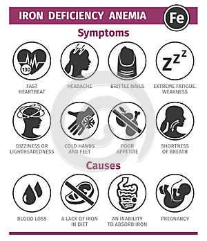 Symptoms and Causes of iron deficiency anemia. Vector Icon set. Template for use in medical agitation. photo