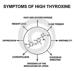 Symptoms of high thyroxine. Thyroxine thyroid hormone. Infographics. Vector illustration on isolated background.