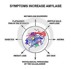 Symptoms of increased amylase. The enzyme amylase. Infographics. Vector illustration on isolated background.