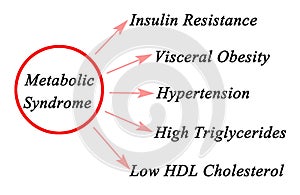 Symptoms of Metabolic Syndrome