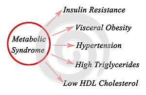 Symptoms of Metabolic Syndrome photo