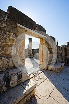 The synagogue of Capernaum