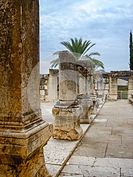 The synagogue columns at Capernaum, Galilee, Israel