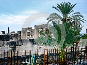 The synagogue columns at Capernaum, Galilee, Israel