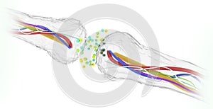 Synapse connections. Structure that permits a neuron or nerve cell to pass an electrical or chemical signal to another neuron