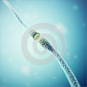 Synapse and Neuron cells sending electrical chemical signals. 3d rendering