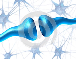 Synapse and Neuron Receptors