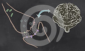 Synaptic Cleft illustration with Neurotransmitters