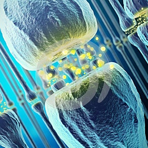 Synaptic transmission, human nervous system. 3d rendering