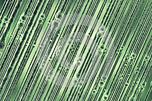 Synaptic transmission, human nervous system. 3d rendering