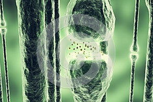 Synaptic transmission, human nervous system. 3d rendering