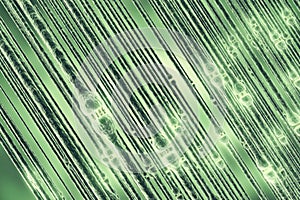 Synaptic transmission, human nervous system. 3d rendering