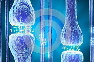 Synaptic transmission, human nervous system. 3d rendering