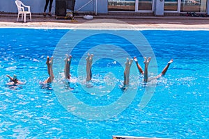 Synchronised swimming. Beautiful lean female legs in the water of a swimming pool. Concept of beauty, artistry