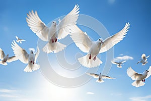 Synchronized Flight: Graceful White Doves Soaring in Clear Blue Sky