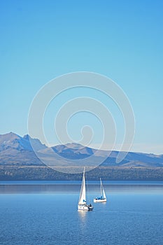 Synchronized Serenity: Twin Boats Gliding Across the Lake