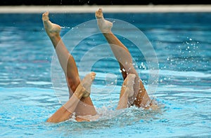 Synchronized Swimmers