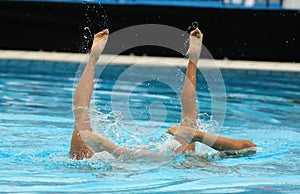 Synchronized Swimmers photo