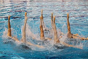 Synchronized swimmers photo