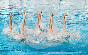 Synchronized swimmers photo