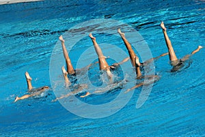 Synchronized Swimming photo