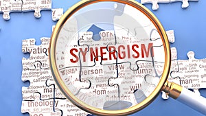 Synergism and related ideas on a puzzle pieces. A metaphor showing complexity of Synergism analyzed with a help of a mag