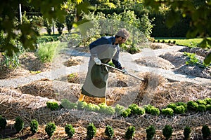 Synergistic Agriculture