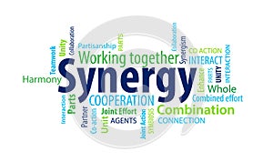 Synergy Word Cloud