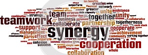 Synergy word cloud