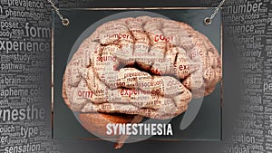 Synesthesia in human brain photo