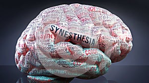 Synesthesia and a human brain photo