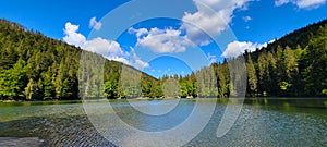 Synevir National Park Lake Landscape View in the Ukrainian Carpathian Mountains