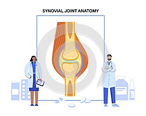 Synovial joint poster