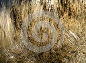 Synthetic  artificial fur. Clothing products. Full picture