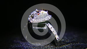 Synthetic diamonds on the jewelry 004
