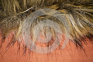 Synthetic fur used in the textile industry. Synthetic fur collar